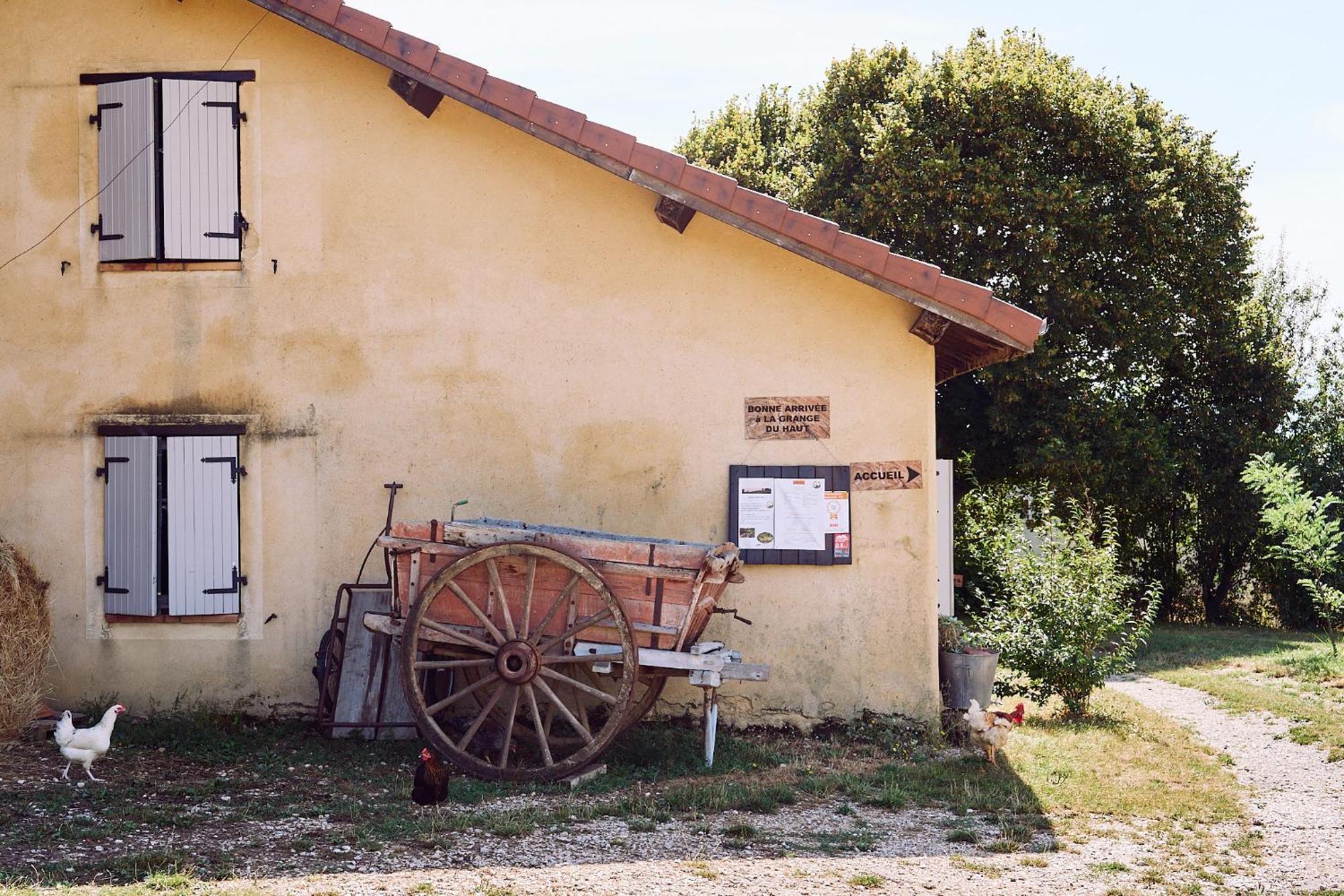 Saint-Antoine  Gite La Grange Du Haut المظهر الخارجي الصورة