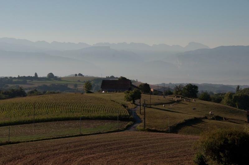 Saint-Antoine  Gite La Grange Du Haut المظهر الخارجي الصورة